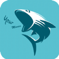 鲨鱼影视2023最新版本下载,鲨鱼影视官方下载安装2023最新版 v6.3.3